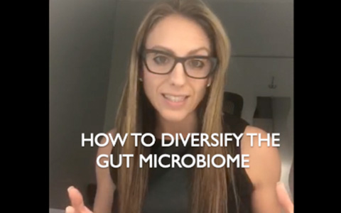 Gut