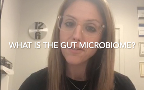 Gut